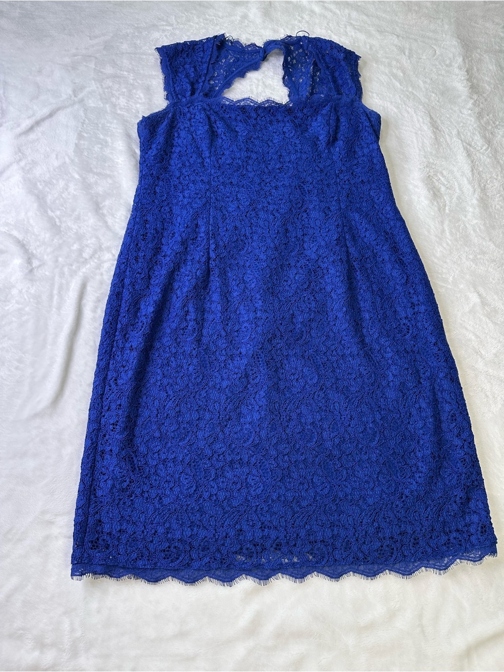 Adrianna Papell Blue Lace Square Neck Cocktail Dress Size 16